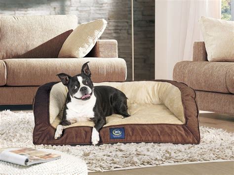 Because Dogs Deserve To Sleep In Lap Of Luxury Large Breed Dog Beds