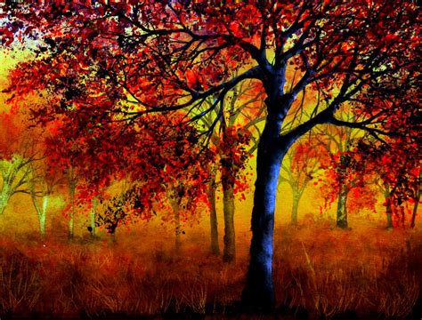 Autumn Fire By Annmariebone On Deviantart