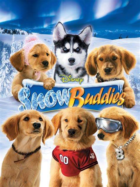 42 Hq Photos Snow Dogs Movie Dog Names Iron Will 1994 Imdb