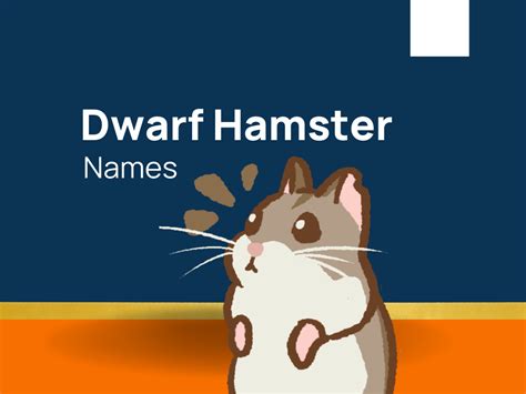 1230 Dwarf Hamster Names For Your Little Warrior Generator