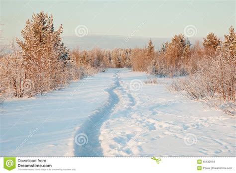 Beautiful Winter Landscape With Snow Stock Photo Image