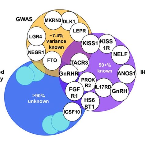 Pdf The Genetic Basis Of Delayed Puberty