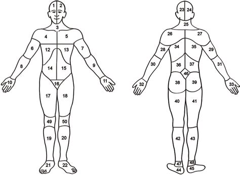 Body Map Head Area Or Neck Area Or Shoulders