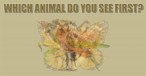 Fun Test The First Animal You See Reveals Your Personality