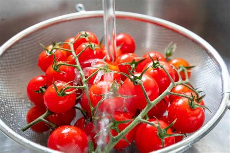 L'idea per preparare la salsa rubra con i migliori ingredienti e curiosità per cucinare ricette tradizionali sfiziose su ricettaidea.it. Salsa rubra per accompagnare carni e bolliti | Come ...