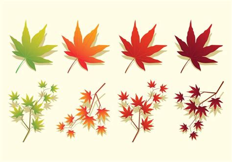 Japanese Maple Leaves Icons 159181 Vector Art At Vecteezy