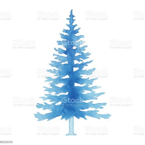 Watercolor Blue Pine Tree Stock Illustration Download Image Now