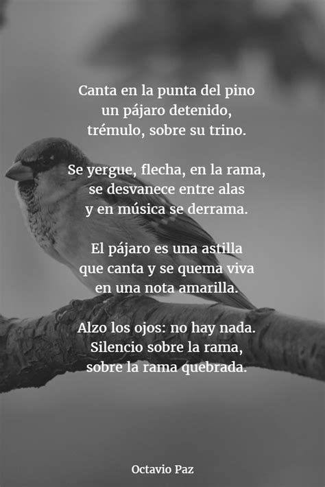 Los 10 Mejores Poemas De Octavio Paz Kulturaupice