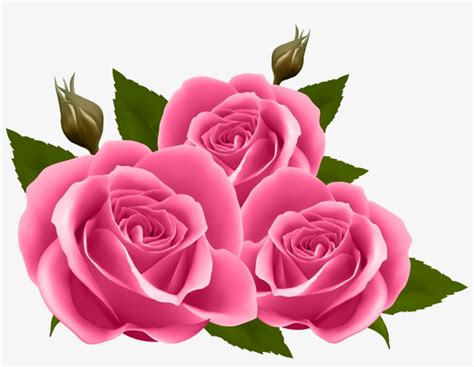 Pink Roses Clipart Png Png Image Transparent Png Free Download On Seekpng