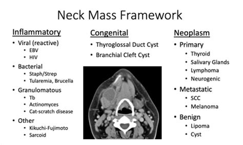 Neck Mass Differential Diagnosis Framework Inflammatory Grepmed