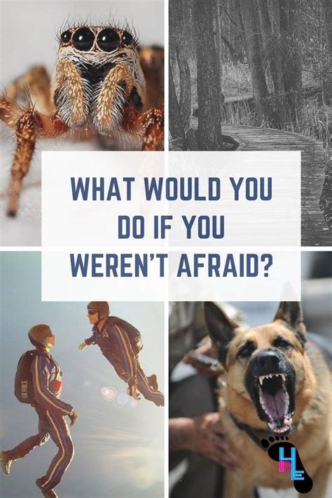 It's not the future that you're afraid of, i's repeating the past that makes you anxious | quotes. What Would You Do If You Weren't Afraid? (With images) | Christian devotions, Christian woman ...