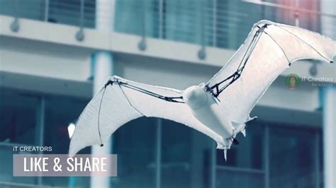 5 Amazing Robotic Device Invention Robot Bird Can Really Fly Youtube