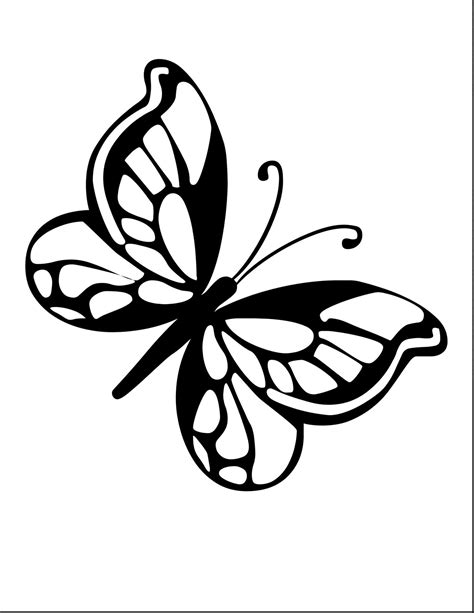 Butterfly Line Drawing Images At Getdrawings Free Download