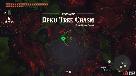 Deku Tree Chasm The Legend Of Zelda Tears Of The Kingdom Database