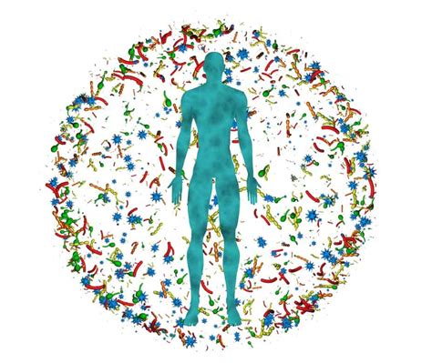 Gut Microbiota Restoring A Healthy Balance Biodesign Wellness Center
