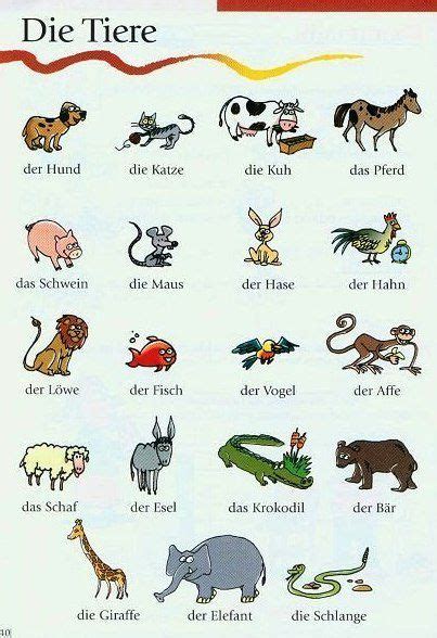 Animal Names From Ich Liebe Deutsch Apprendre Lallemand Mots En