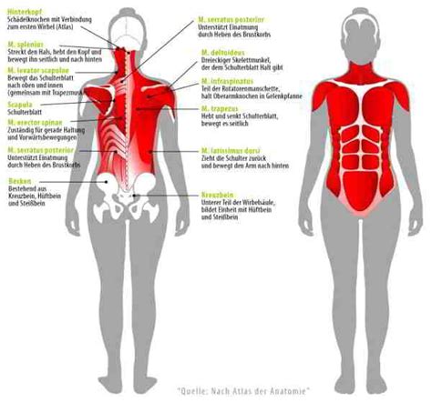 Hüftschmerzen, ischias, ischiasschmerz, ischiasfrom the english sciatica npl. Ischias & Ischiasschmerzen: Symptome wenn der Ischiasnerv eingeklemmt ist | Joggen Online ...