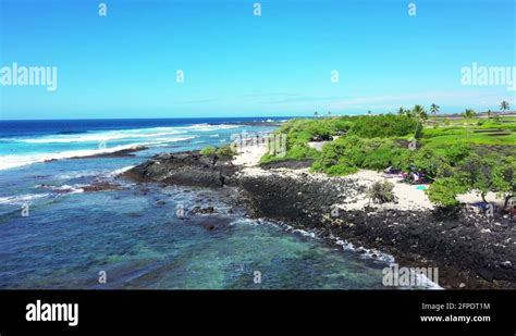 Pine Trees Beach Stock Videos And Footage Hd And 4k Video Clips Alamy