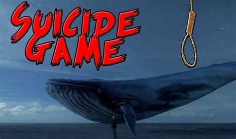 A Serious Request To The Blue Whale Meme Creators Nettv4u