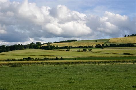 Meadow Pasture Landscape 4 by LuDa-Stock on DeviantArt