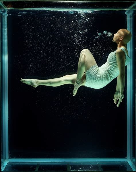 在水下 时尚 女士 Pixabay上的免费照片 Pixabay