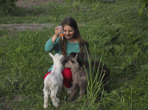Niedlich Lächelndes Mädchen Mit Drei Kleinen Ziegen Im Garten Bunte