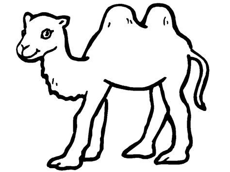 Select from 35870 printable coloring pages of cartoons, animals, nature, bible and many more. Free Printable Camel Coloring Pages For Kids