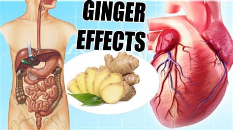What Happens To Your Body If You Eat Ginger Every Day Youtube