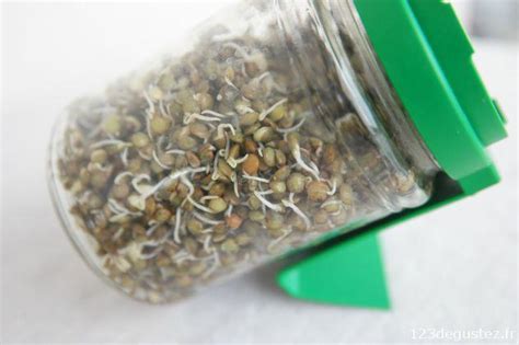 Faire germer les lentilles pratique et astuces