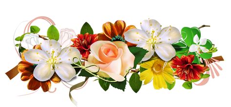 Foto Bunga Format Png Kumpulan Gambar Bunga Riset