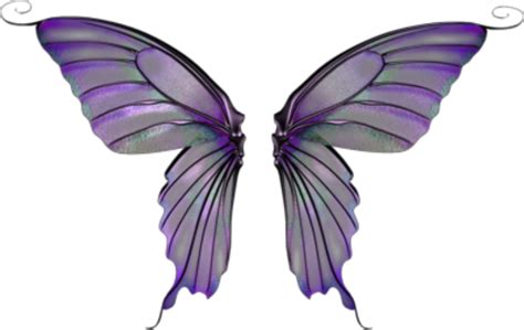 Purple Fairy Wings Transparent Png