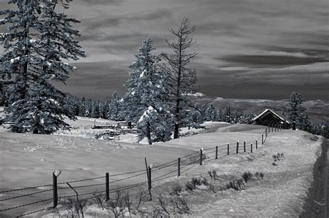 Infrared Photography On A Winter Day Enmanscameras Blog Kamloops