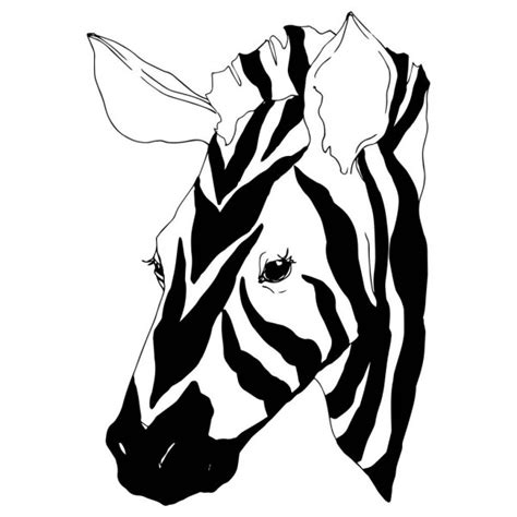 ᐈ Zebra print backgrounds stock backgrounds, Royalty Free animal print backgrounds vectors ...
