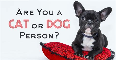 Are You A Dog Person Or A Cat Person