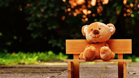 Cute Teddy Bear In Park Bench Hd Wallpaper 4k