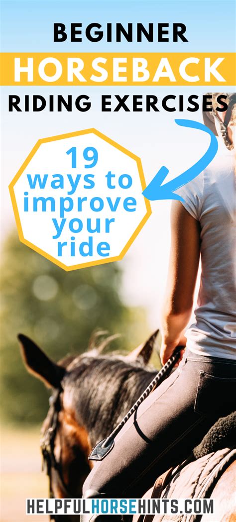Beginner Horseback Riding Exercises You Can Use To Improve Your Skills