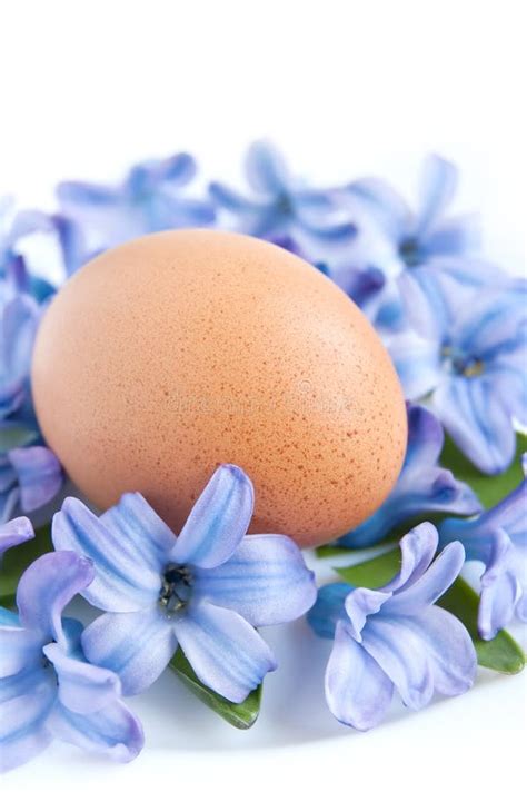 Easter Egg With Flowers Stock Photo Image Of Hidden 23402632