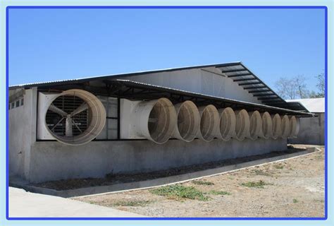 Tunnel Ventilation System | Belmont