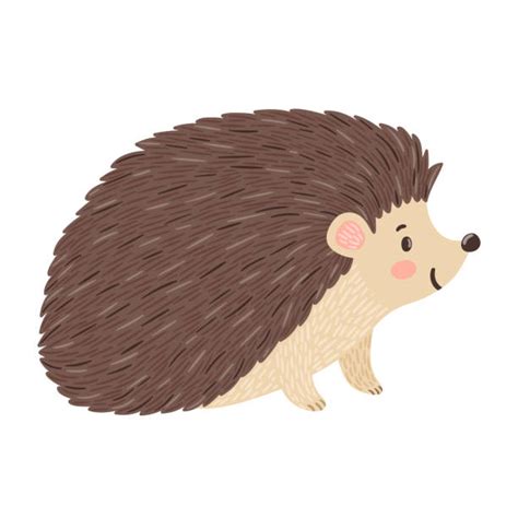 Hedgehog Clip Art 10 Free Cliparts Download Images On Clipground 2024
