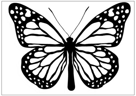 Butterfly Images Black And White