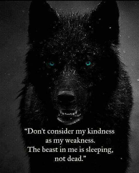 Pin By Missgolden On Quotes Lone Wolf Quotes Wolf Quotes Warrior Quotes