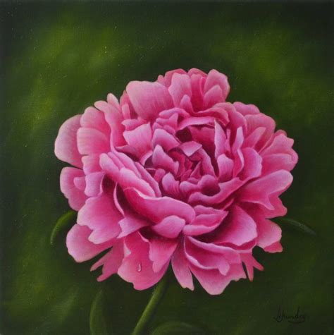Pink Peony Margo Munday Fine Art Classical And Contemporary Acrylic