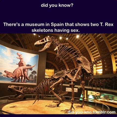 Turns Out The Spanish Have The Sexiest Museum Rfunny