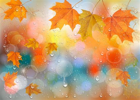 Autumn Colorful Background With Leaves And Raindrops Stock Vector