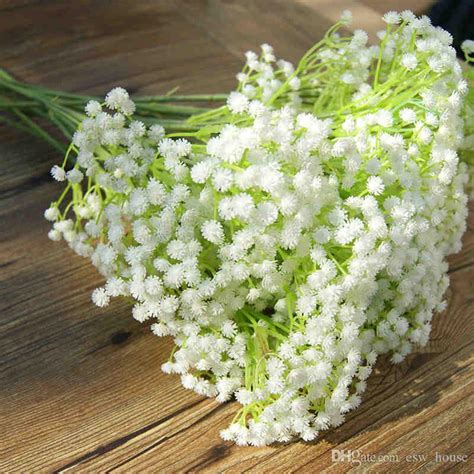 Sow seed in cell packs or flats, press into soil but do not cover. 2019 Artificial Baby Breath Flower Gypsophila Fake ...