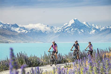 The crucial factor when it comes to any exercise: When is the Best Time to Visit New Zealand? | About New ...