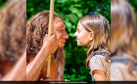 Are You A Morning Person Thank Your Neanderthal Ancestors