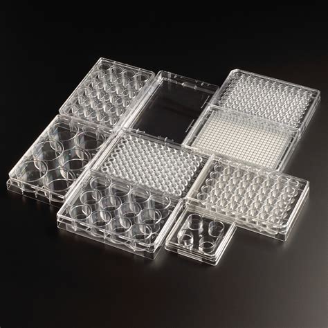 Celltreat Untreated 6 Well Cell Culture Plates ⋆ Morganville Scientific