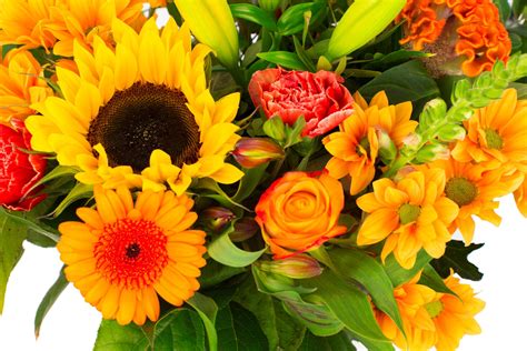 Wir bei regionsflorist haben die schönsten sträuße, die aus verschiedenen. Blumenstrauß - Blumenstrauß Kim, groß, orange - Höhe: 45 ...
