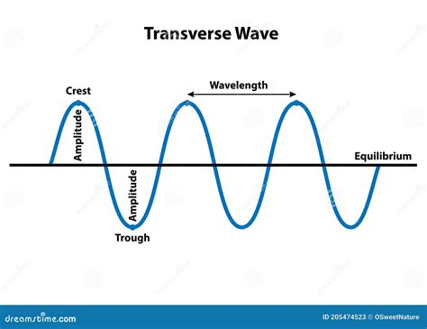 Transverse Wave Properties Of Wavelength Stock Vector Illustration Of